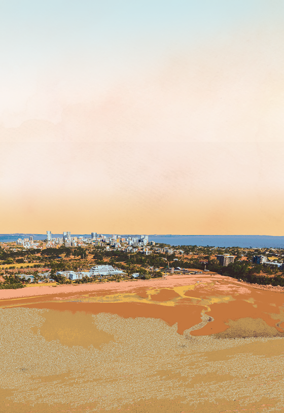 DARWIN ~ COMING SOON