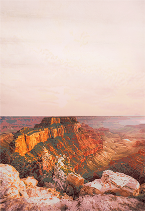 GRAND CANYON ~ COMING SOON