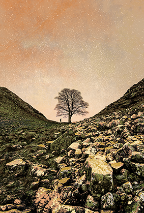 SYCAMORE GAP
