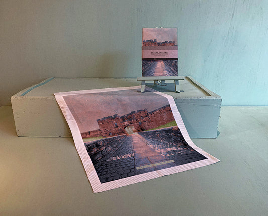 CARLISLE SKYLINE TEATOWEL