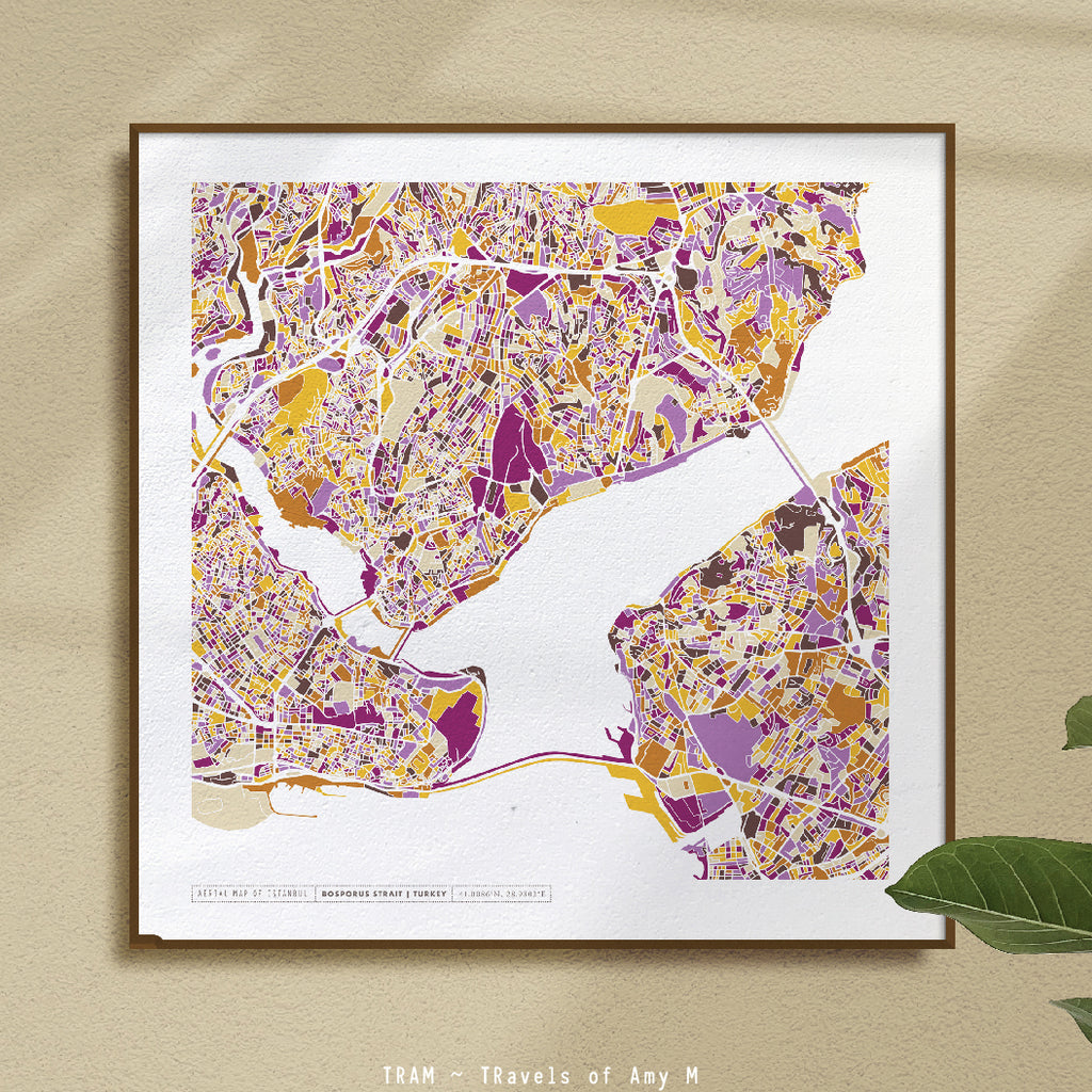 ISTANBUL MAP ART PRINT